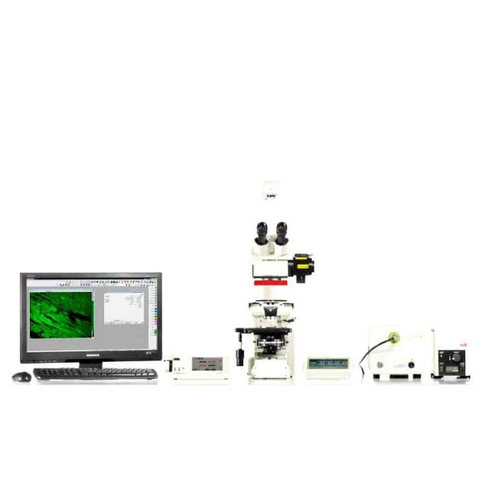 Fluorescence Microscope 1