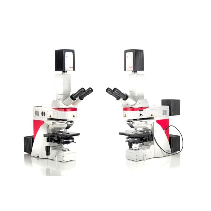 Fluorescence Microscope