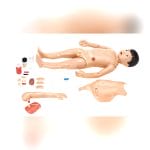 General Care Training Manikin 1