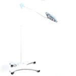 General Medicine Minor Surgery Lamp 2