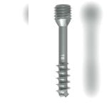 General Purpose Compression Bone Screw 4