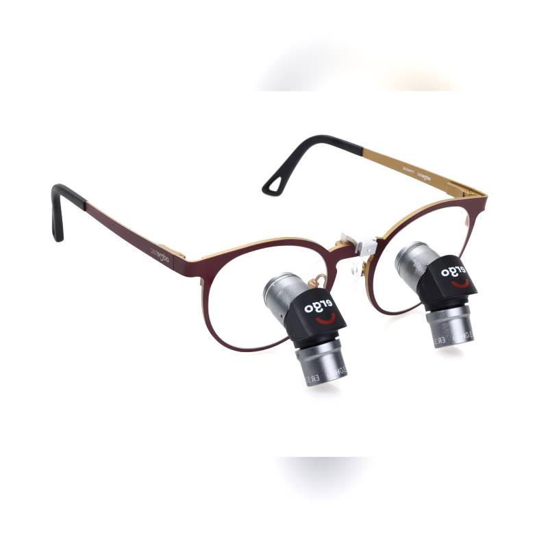 Glasses-Type Binocular Loupe