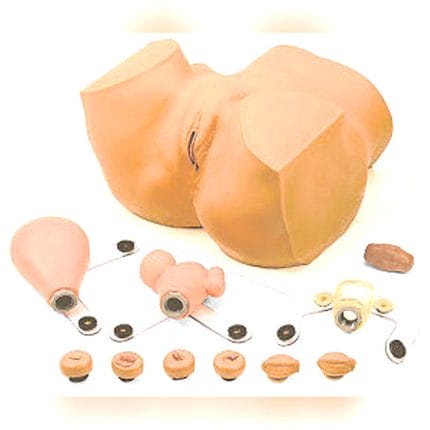 Gynecological Care Training Manikin 1