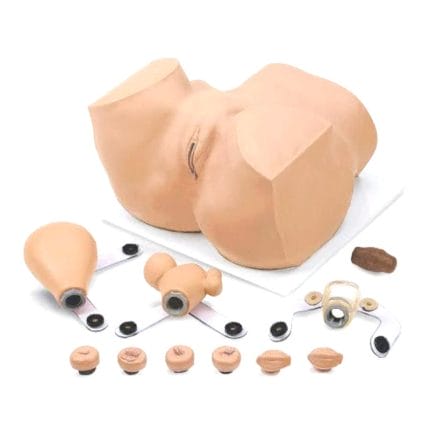 Gynecological Care Training Manikin