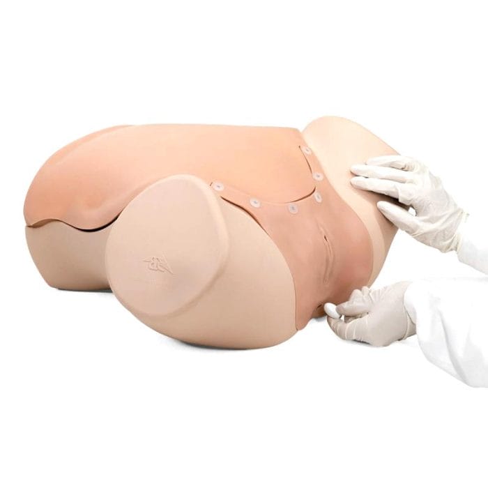 Gynecological Care Training Manikin 2