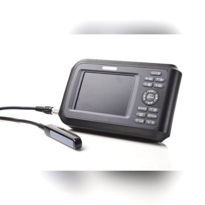 Hand-Held Ultrasound System