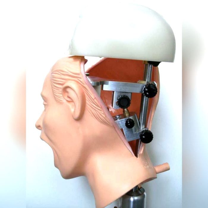 Head Model 6