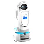 Healthcare Facility Telepresence Robot
