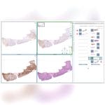 Histopathology Laboratory Software 6