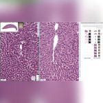 Histopathology Laboratory Software 7