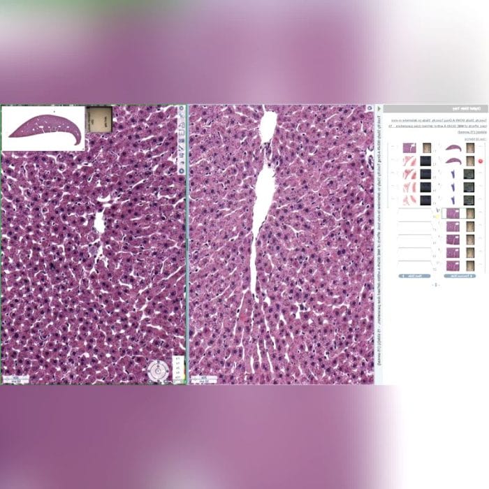 Histopathology Laboratory Software 7