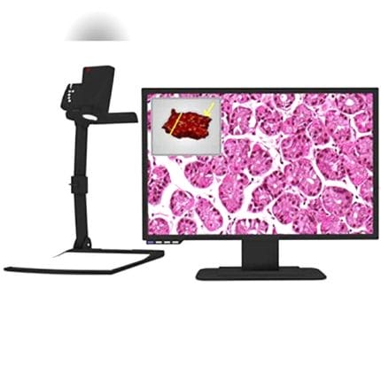 Histopathology Macroscopic Imaging Workstation 1