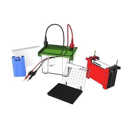 Horizontal Electrophoresis Tank