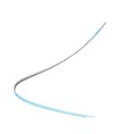 Iliac Artery Stent Graft 1