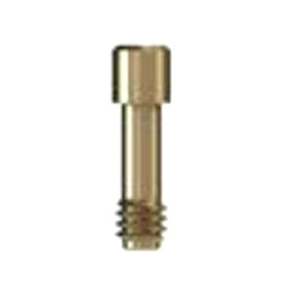 Implant Screw 1