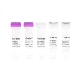 Infectious Disease Detection Kit 1