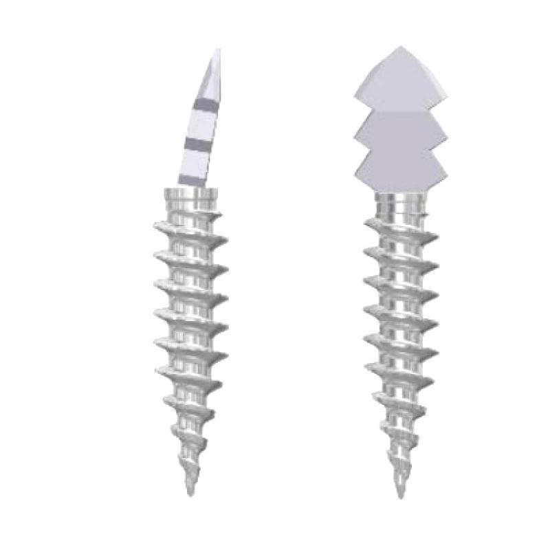 Interphalangeal Foot Joint Arthrodesis Screw