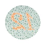 Ishihara Test Book 5