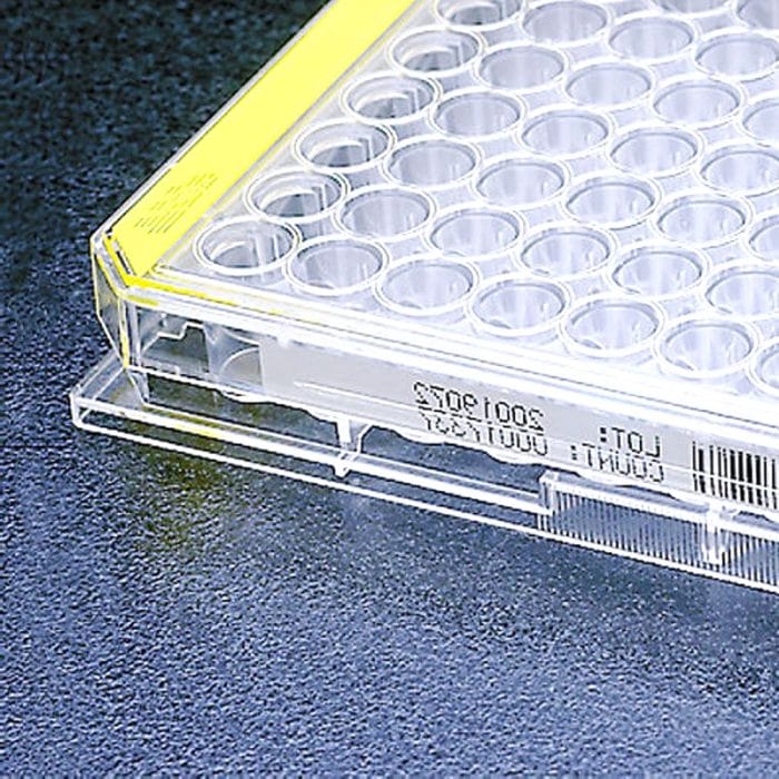 Laboratory Microplate 6