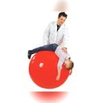 Large Size Massage Ball 1