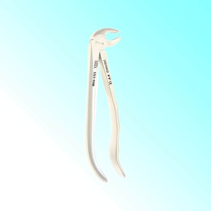 Lower Molar Dental Extraction Forceps