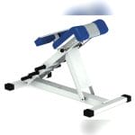 Lumbar Extension Weight Training Bench 2