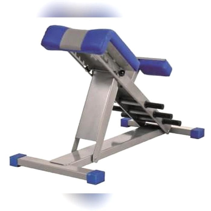 Lumbar Extension Weight Training Bench 5