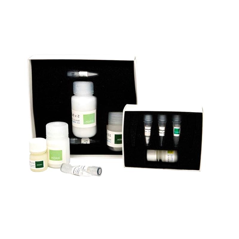 Lysozyme Reagent Kit