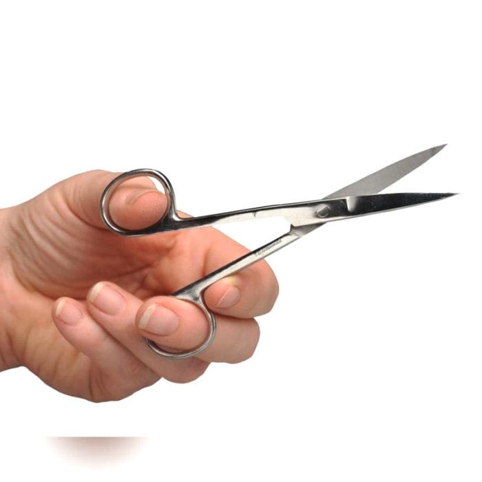 Mayo Scissors 2