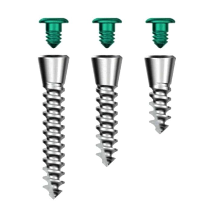 Metal Implant Screw 4