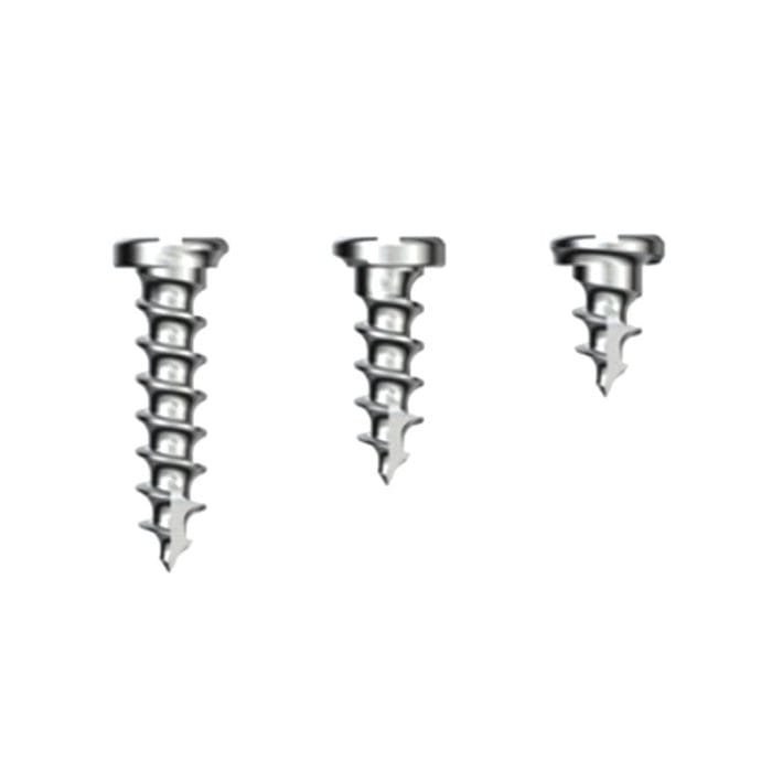 Metal Implant Screw 5