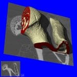 Micro X-Ray Ct Preclinical Tomography System 2