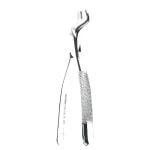 Molar Extraction Forceps