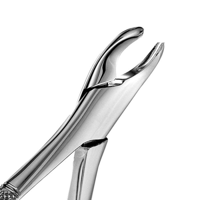 Molar Extraction Forceps 1