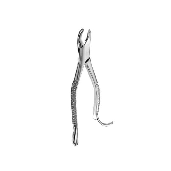 Molar Extraction Forceps 2