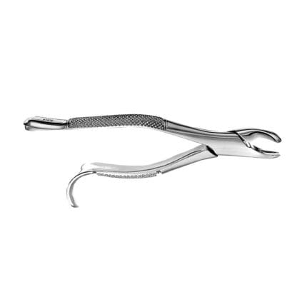 Molar Extraction Forceps