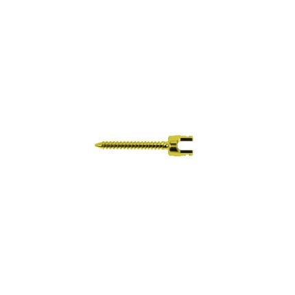 Monoaxial Pedicle Screw