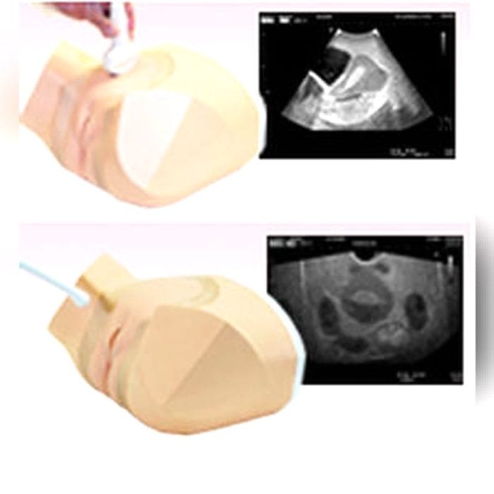 Obstetric Care Training Manikin 2