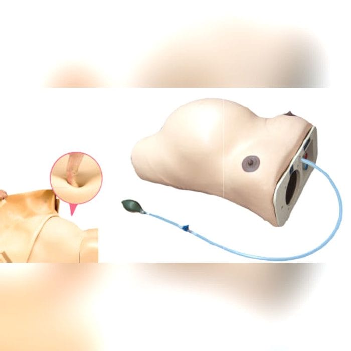 Obstetrical/Gynecological Training Manikin 1