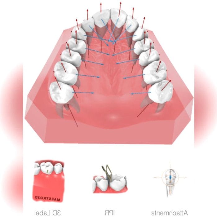 Orthodontic Software 7