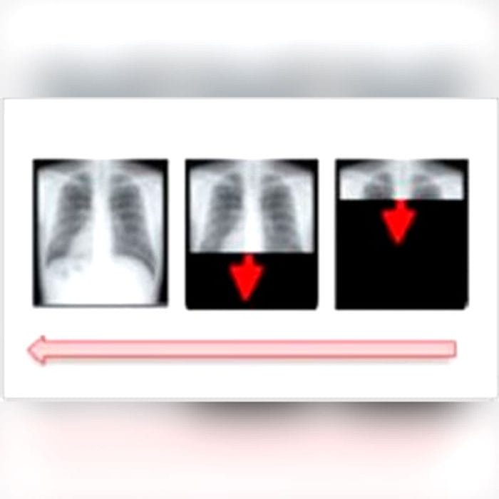 Patient Data Management System 3