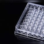 Pcr Microplate 1