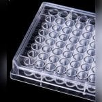 Pcr Microplate 2