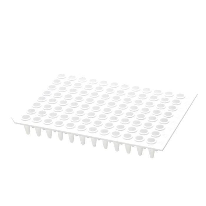 Pcr Microplate 6