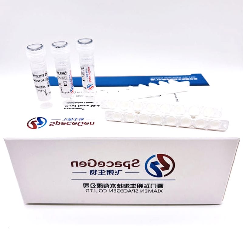 Pcr Reagent Kit 1