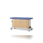 Pediatric Examination Table 3