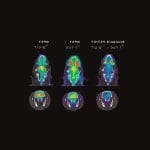 Pet Preclinical Tomography System 2