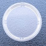 Petri Dish 2