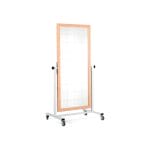 Posture Mirror On Casters