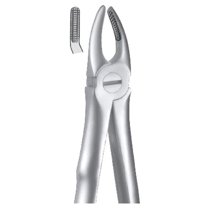 Premolar Extraction Forceps 2